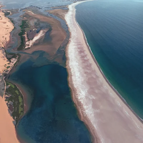 Aerial view of a stunning desert coastline where orange dunes meet the blue ocean water.