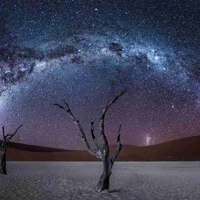 A stunning night sky with the Milky Way arching over two dark, dead trees in a desert landscape.