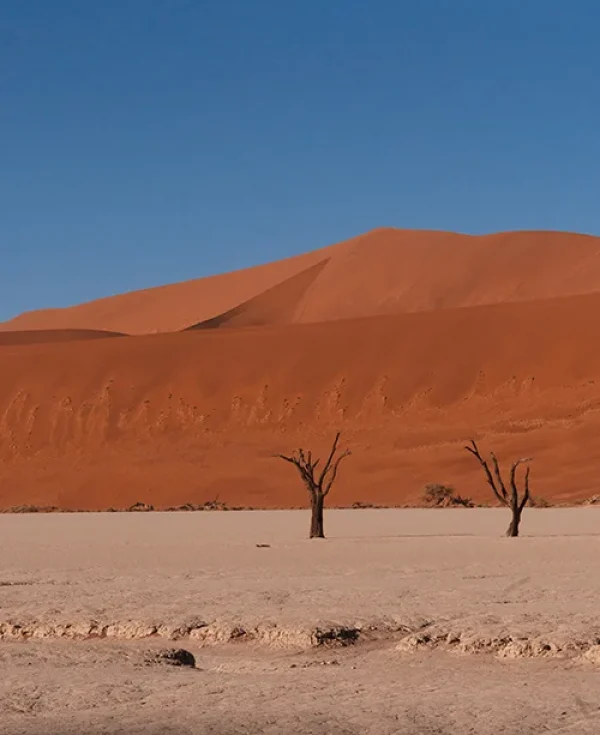 Red Sossusvlei sand dunes, white Deadvlei pan, and dead trees, Namibia desert Red Sossusvlei sand dunes, white Deadvlei pan, and dead trees, Namibia desert